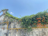 Flysky