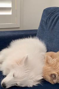 Penelope 75 微笑蘭納飯店優惠