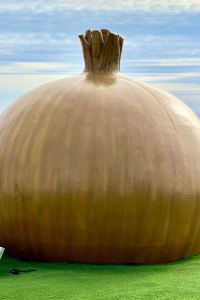 泰愛四圍遊 リブマックスリゾート宮浜温泉 Ocean クーポン