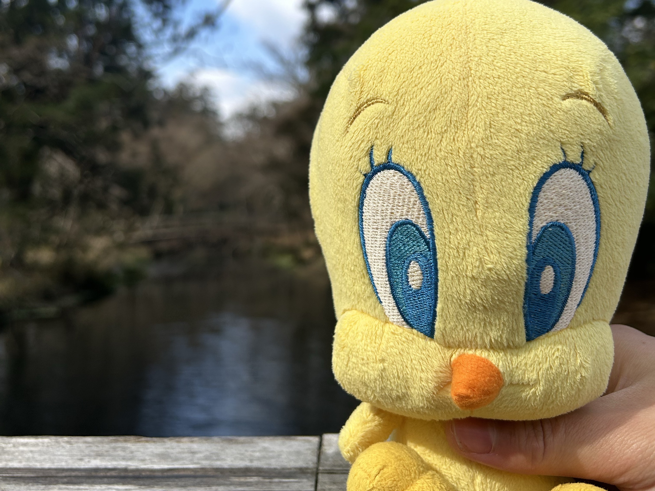Cute Tweety