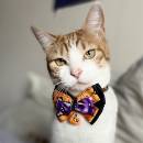 Lucie Christiane Marie