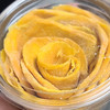 愛試新愛去玩