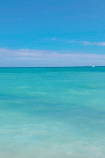 Mikotsu 東横INN静岡清水駅前 クーポン