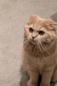 ゲスト スーパーホテル東京・赤羽駅南口 クーポン