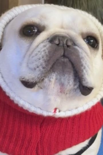 yobun28 沼津グランドホテル クーポン