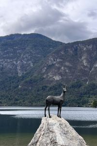 Traveler 314 薩沃伊酒店優惠