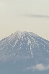 よしきち ホテルルートイン大阪和泉 クーポン