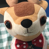 黃小鹿