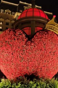 香片 深圳香格里拉大酒店優惠