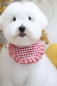 CHEN,YAMI 煙波大飯店台南館優惠