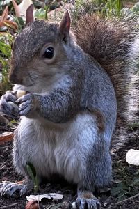 jo_ 維多利亞莊園套房酒店優惠