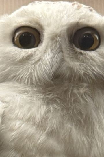 訪客 宜蘭綠舞國際觀光飯店優惠