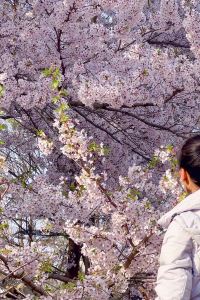 Phung Thi My Linh 紹興拾貳樸宿優惠