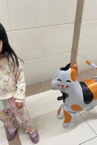 Cheong chi lon 四分之一鑾魯迪UHG飯店優惠