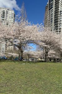 JAYSON 108 横浜ザ・アパートメント クーポン