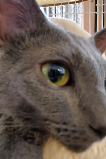 指先疲労骨折 グランディア芳泉 クーポン