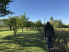 Nitra