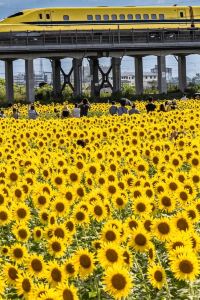 Kiku5296 ホテルルートイン佐伯駅前 クーポン