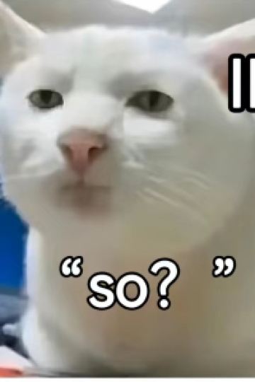 mimimimimi90 深圳東海朗廷酒店優惠