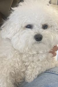 兜兜里 定山渓万世閣 ホテルミリオーネ クーポン