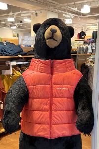 iiparo 新北永和柯達大飯店優惠