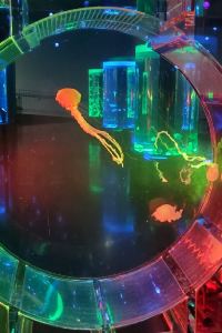 かずぶぅ ホテルルートイン渋川 クーポン