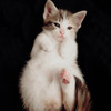 Judy0221