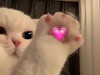 Lulubibi