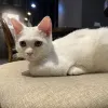 Avatar 3
