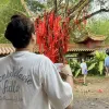 Avatar 3