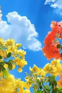 がっさん ケイズストリートホテル宮崎 クーポン