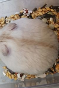 Lillian’s traveling 屏東享念海灣民宿優惠