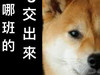 Kjgvv