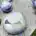 Nattamon Tongchan