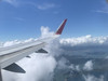 Ha米媽