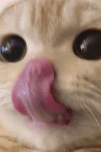 Tawan’s babe FuramaXclusive普拉圖南公園飯店優惠