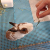rabbittt