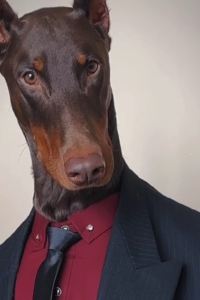 Relay Tripping 旅館　焼乃湯（やけのゆ） クーポン