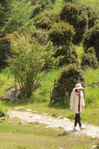 Milatravel TSH 佛羅倫薩拉瓦格尼尼酒店優惠