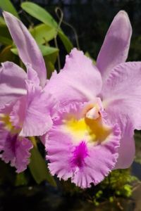 Pom2025 宜蘭悅綠墅民宿優惠