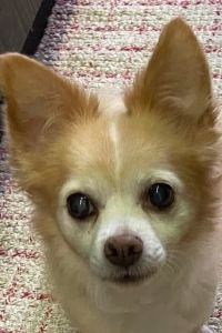 ののkp 芭東帕拉貢温泉度假酒店 （SHA Extra Plus）優惠