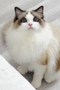 Peirina CHEN 百老匯旅館優惠