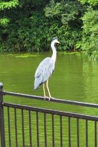 nancy8881 TOSEI飯店 可可尼淺草藏前優惠