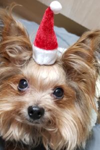 Tinaworld 台北金普頓大安酒店優惠