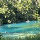 沈浸在旅途美好的時光