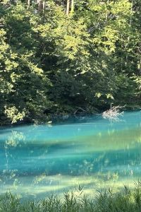 沈浸在旅途美好的時光 仙台皇家花園酒店優惠