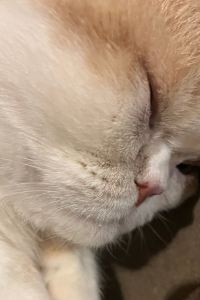 ゲスト ホテル ニドム クーポン