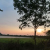 laomeifang
