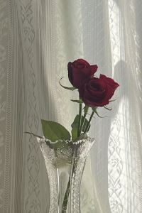 kazw 横浜ロイヤルパークホテル クーポン