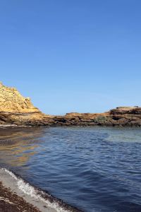 Lavendar_girl 豊島屋 クーポン